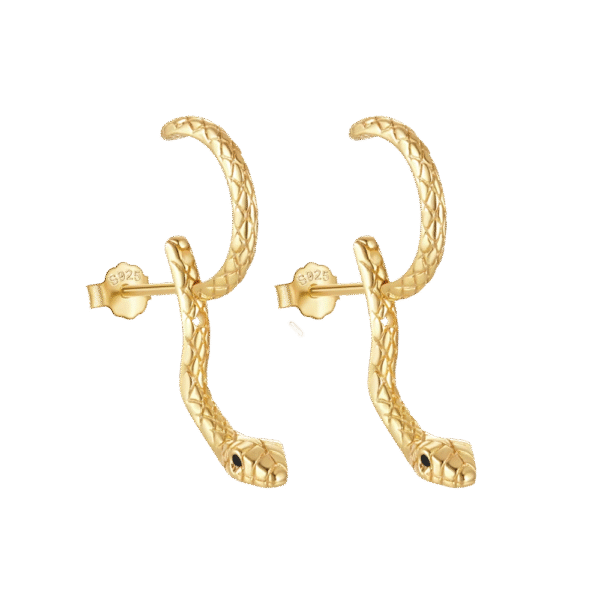 Σκουλαρίκια Φίδι Ζευγάρι από Ασήμι 925 (Sterling Silver) | Μαύρες Ζιργκόν Πέτρες